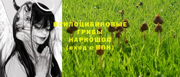 гидропоника Нефтегорск