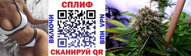 Канабис сатива  гидра сайт  Томмот  где можно купить  